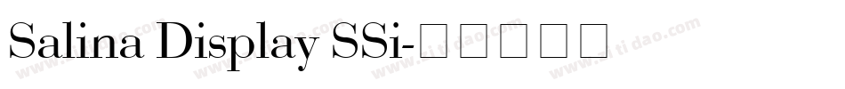 Salina Display SSi字体转换